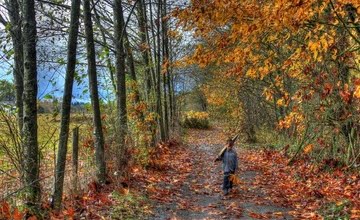 De (levens)lessen van de herfst